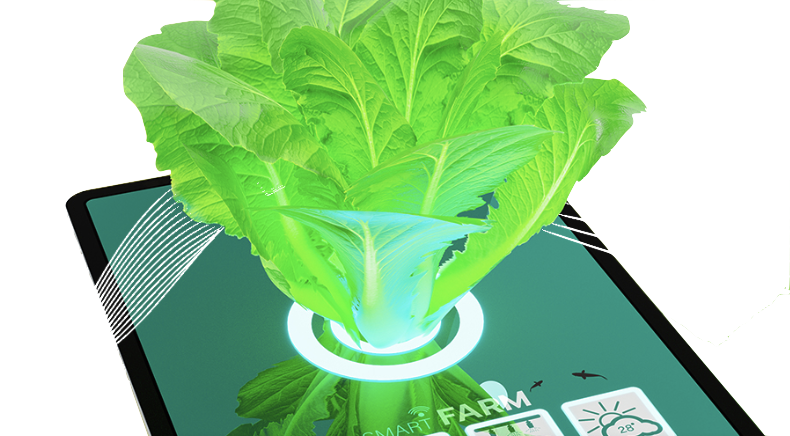 Personalized Treatment